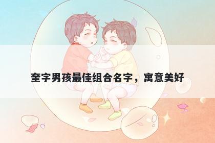 奎字男孩最佳组合名字，寓意美好