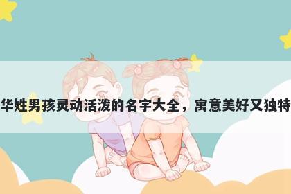 华姓男孩灵动活泼的名字大全,寓意美好又独特