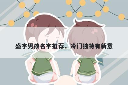 盛字男孩名字推荐，冷门独特有新意