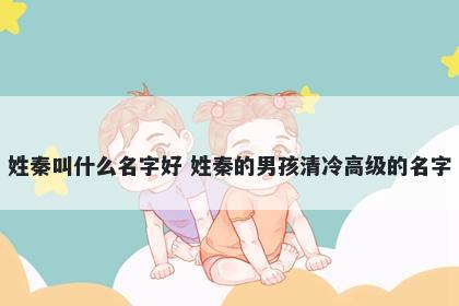 姓秦叫什么名字好 姓秦的男孩清冷高级的名字