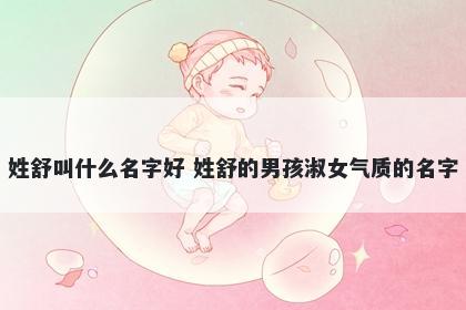 姓舒叫什么名字好 姓舒的男孩淑女气质的名字
