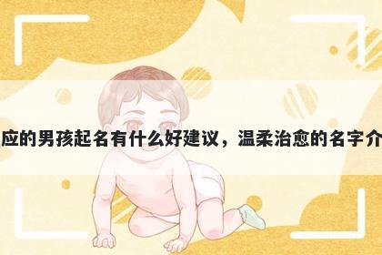 姓应的男孩起名有什么好建议,温柔治愈的名字介绍