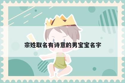 宗姓取名有诗意的男宝宝名字