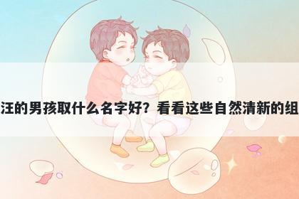 姓汪的男孩取什么名字好？看看这些自然清新的组合