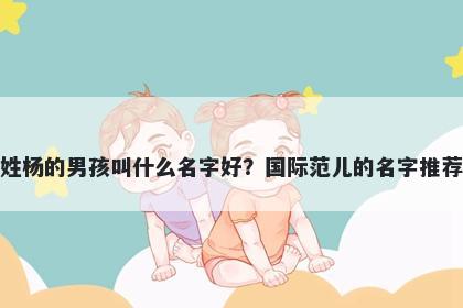 姓杨的男孩叫什么名字好？国际范儿的名字推荐