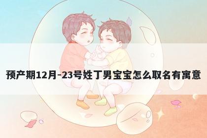 预产期12月-23号姓丁男宝宝怎么取名有寓意
