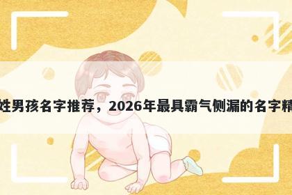 应姓男孩名字推荐,2026年最具霸气侧漏的名字精选