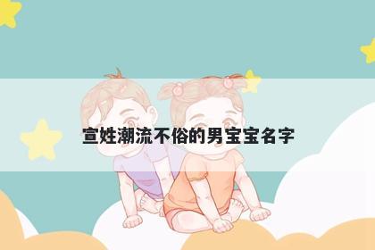 宣姓潮流不俗的男宝宝名字