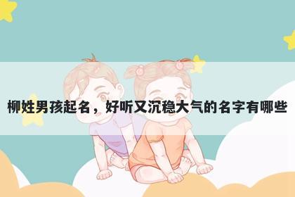 柳姓男孩起名,好听又沉稳大气的名字有哪些