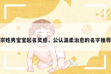 宗姓男宝宝起名灵感，公认温柔治愈的名字推荐