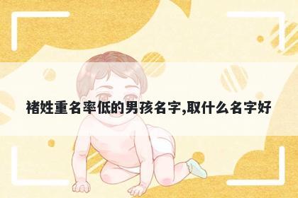 褚姓重名率低的男孩名字,取什么名字好