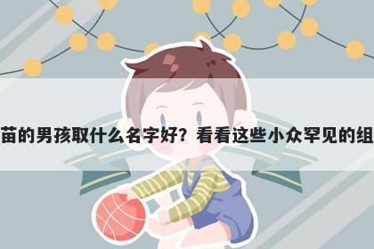 姓苗的男孩取什么名字好？看看这些小众罕见的组合