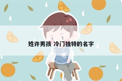 姓许男孩 冷门独特的名字