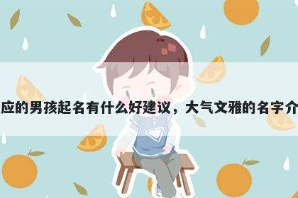 姓应的男孩起名有什么好建议，大气文雅的名字介绍