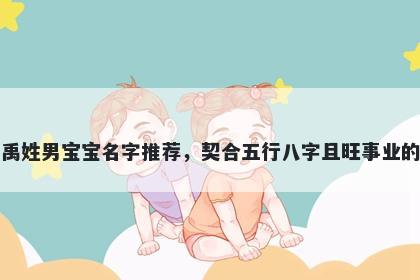 禹姓男宝宝名字推荐，契合五行八字且旺事业的