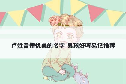 卢姓音律优美的名字 男孩好听易记推荐