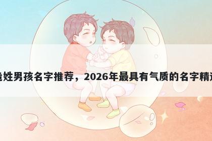 危姓男孩名字推荐,2026年最具有气质的名字精选