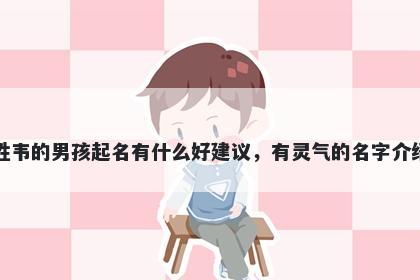 姓韦的男孩起名有什么好建议,有灵气的名字介绍