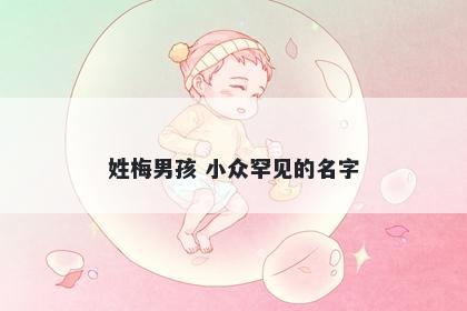 姓梅男孩 小众罕见的名字