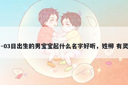 2026年-01月-03日出生的男宝宝起什么名字好听,姓柳 有灵气的名字推荐