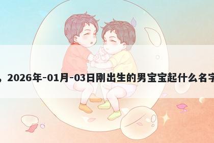 我姓赵，2026年-01月-03日刚出生的男宝宝起什么名字比较好