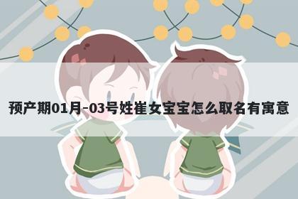 预产期01月-03号姓崔女宝宝怎么取名有寓意
