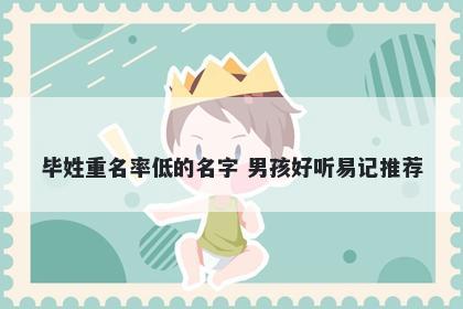 毕姓重名率低的名字 男孩好听易记推荐