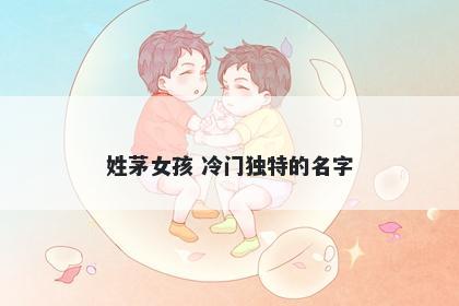 姓茅女孩 冷门独特的名字