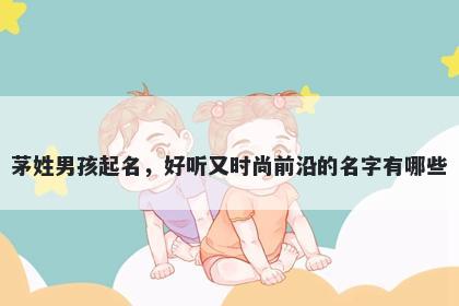 茅姓男孩起名，好听又时尚前沿的名字有哪些