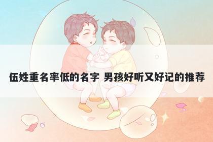 伍姓重名率低的名字 男孩好听又好记的推荐