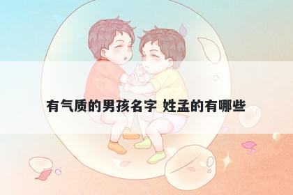 有气质的男孩名字 姓孟的有哪些