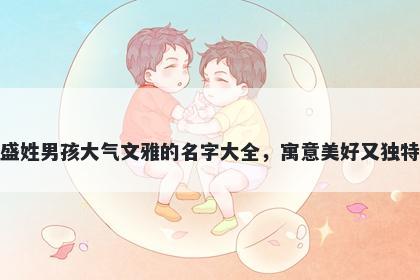 盛姓男孩大气文雅的名字大全，寓意美好又独特