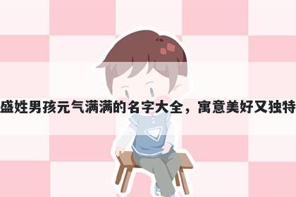 盛姓男孩元气满满的名字大全，寓意美好又独特