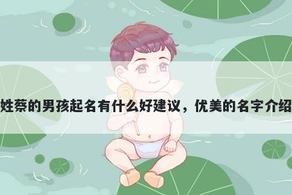 姓蔡的男孩起名有什么好建议，优美的名字介绍