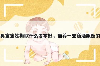 刚出生的男宝宝姓梅取什么名字好，推荐一些潇洒飘逸的男孩名字