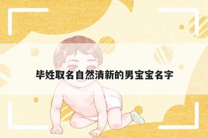 毕姓取名自然清新的男宝宝名字
