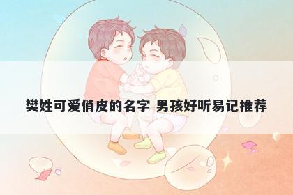 樊姓可爱俏皮的名字 男孩好听易记推荐