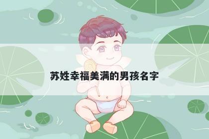 苏姓幸福美满的男孩名字