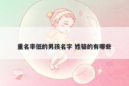 重名率低的男孩名字 姓骆的有哪些