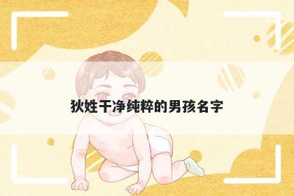 狄姓干净纯粹的男孩名字