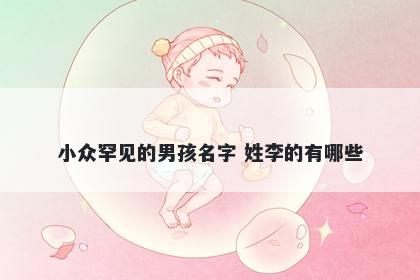 小众罕见的男孩名字 姓李的有哪些