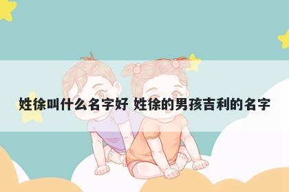 姓徐叫什么名字好 姓徐的男孩吉利的名字