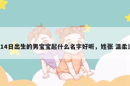 2026年-01月-14日出生的男宝宝起什么名字好听，姓张 温柔治愈的名字推荐