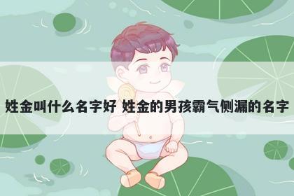 姓金叫什么名字好 姓金的男孩霸气侧漏的名字