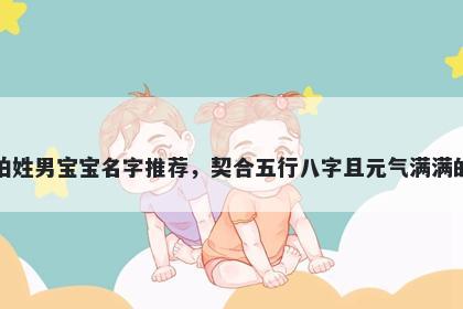 柏姓男宝宝名字推荐，契合五行八字且元气满满的