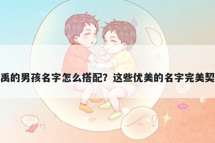 姓禹的男孩名字怎么搭配？这些优美的名字完美契合