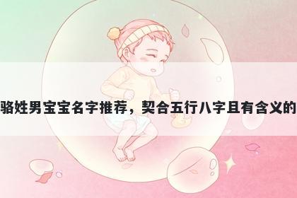 骆姓男宝宝名字推荐，契合五行八字且有含义的