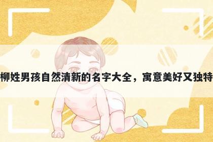 柳姓男孩自然清新的名字大全，寓意美好又独特