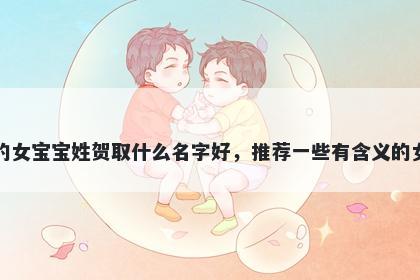 刚出生的女宝宝姓贺取什么名字好，推荐一些有含义的女孩名字