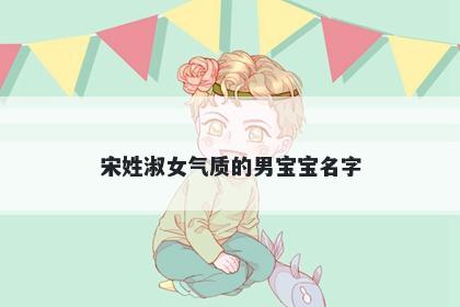 宋姓淑女气质的男宝宝名字